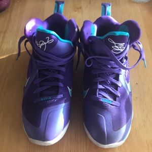 Lebron 9 Hornets